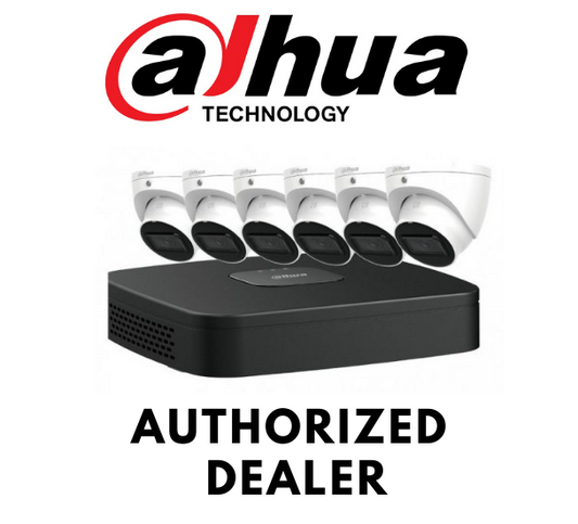 Dahua N484L62A 4MP 8-Ch (6Eyeball Cameras+NVR) Security System.
